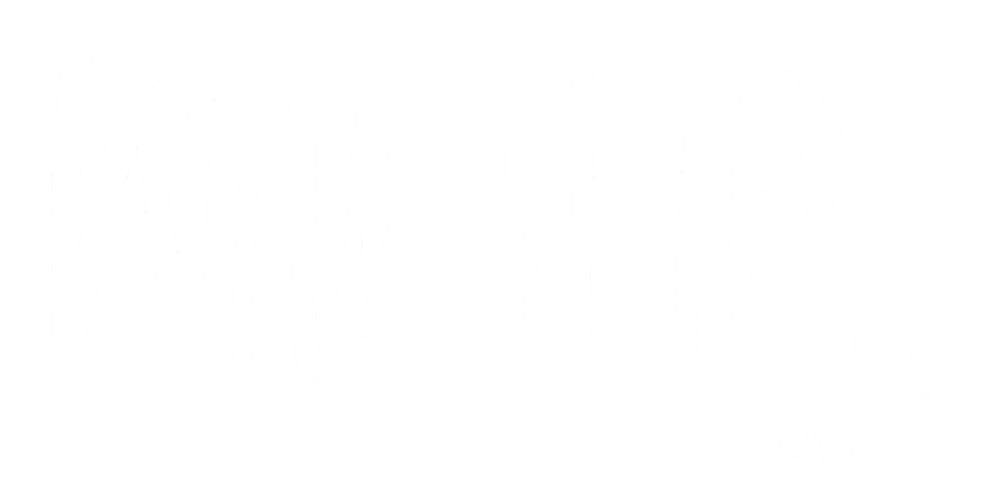 Wild Skies Resort
